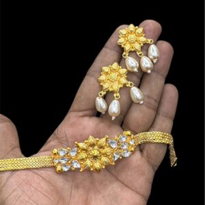 প্রিমিয়াম কোয়ালিটির জুয়েলারি সেট 650TK